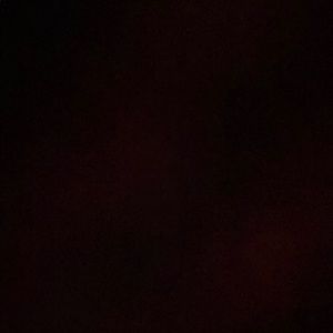 Meet your Posher, Lakin